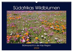 Südafrikas Wildblumen – Blütenpracht in der Kap-Region (Wandkalender 2024 DIN A2 quer), CALVENDO Monatskalender von Herzog,  Michael