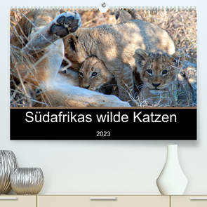 Südafrikas wilde Katzen (Premium, hochwertiger DIN A2 Wandkalender 2023, Kunstdruck in Hochglanz) von A. Bissig,  Markus