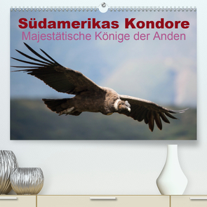 Südamerikas Kondore – Majestätische Könige der Anden (Premium, hochwertiger DIN A2 Wandkalender 2021, Kunstdruck in Hochglanz) von Bob,  Alexander