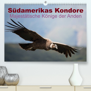 Südamerikas Kondore – Majestätische Könige der Anden (Premium, hochwertiger DIN A2 Wandkalender 2023, Kunstdruck in Hochglanz) von Bob,  Alexander