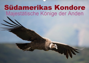 Südamerikas Kondore – Majestätische Könige der Anden (Wandkalender 2020 DIN A2 quer) von Bob,  Alexander