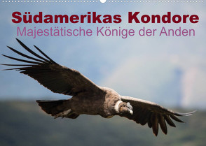 Südamerikas Kondore – Majestätische Könige der Anden (Wandkalender 2022 DIN A2 quer) von Bob,  Alexander