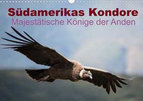 Südamerikas Kondore – Majestätische Könige der Anden (Wandkalender 2022 DIN A3 quer) von Bob,  Alexander