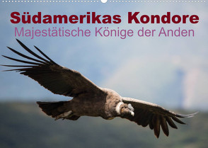 Südamerikas Kondore – Majestätische Könige der Anden (Wandkalender 2023 DIN A2 quer) von Bob,  Alexander