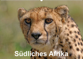 Südliches Afrika (Wandkalender 2023 DIN A2 quer) von Wolf,  Gerald