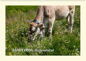 SÜDTIROL-Schnalstal (Wandkalender 2021 DIN A2 quer) von Walliser,  Richard