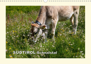 SÜDTIROL-Schnalstal (Wandkalender 2021 DIN A3 quer) von Walliser,  Richard