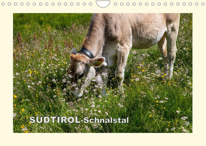 SÜDTIROL-Schnalstal (Wandkalender 2023 DIN A4 quer) von Walliser,  Richard