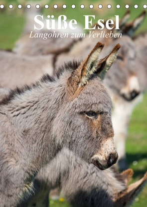 Süße Esel. Langohren zum Verlieben (Tischkalender 2022 DIN A5 hoch) von Stanzer,  Elisabeth