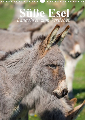 Süße Esel. Langohren zum Verlieben (Wandkalender 2022 DIN A3 hoch) von Stanzer,  Elisabeth