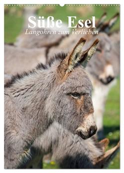 Süße Esel. Langohren zum Verlieben (Wandkalender 2024 DIN A2 hoch), CALVENDO Monatskalender von Stanzer,  Elisabeth