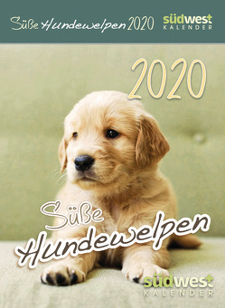 Süße Hundewelpen 2020 Tagesabreißkalender