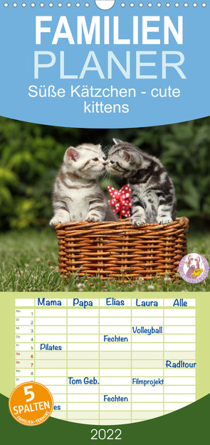 Familienplaner Süße Kätzchen – cute kittens (Wandkalender 2022 , 21 cm x 45 cm, hoch) von Hutfluss,  Jeanette