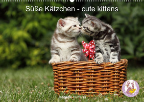 Süße Kätzchen – cute kittens (Wandkalender 2022 DIN A2 quer) von Hutfluss,  Jeanette