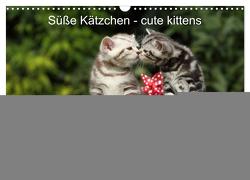 Süße Kätzchen – cute kittens (Wandkalender 2024 DIN A3 quer), CALVENDO Monatskalender von Hutfluss,  Jeanette