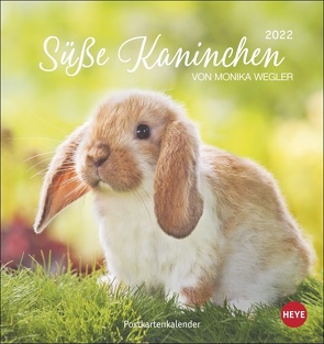 Süße Kaninchen Postkartenkalender 2022 von Heye, Wegler,  Monika