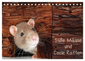 Süße Mäuse und Coole Ratten (Tischkalender 2024 DIN A5 quer), CALVENDO Monatskalender von Eppele,  Klaus