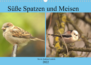 Süße Spatzen und Meisen (Wandkalender 2022 DIN A3 quer) von Andreas Lederle,  Kevin