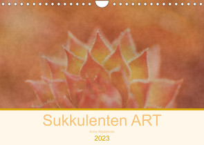 Sukkulenten ART (Wandkalender 2023 DIN A4 quer) von Madalinski,  Anne