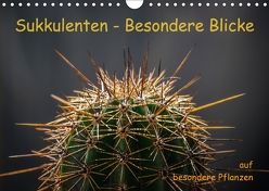 Sukkulenten – Besondere Blicke auf besondere Pflanzen (Wandkalender 2018 DIN A4 quer) von Hagen,  Jörg