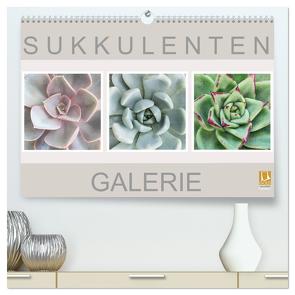 Sukkulenten Galerie (hochwertiger Premium Wandkalender 2024 DIN A2 quer), Kunstdruck in Hochglanz von Wurster,  Beate