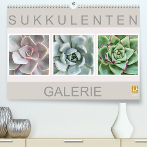 Sukkulenten Galerie (Premium, hochwertiger DIN A2 Wandkalender 2023, Kunstdruck in Hochglanz) von Wurster,  Beate