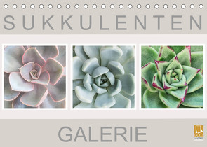 Sukkulenten Galerie (Tischkalender 2023 DIN A5 quer) von Wurster,  Beate