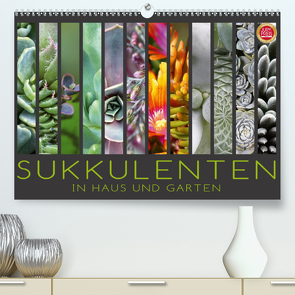 Sukkulenten in Haus und Garten (Premium, hochwertiger DIN A2 Wandkalender 2021, Kunstdruck in Hochglanz) von Cross,  Martina