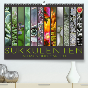 Sukkulenten in Haus und Garten (Premium, hochwertiger DIN A2 Wandkalender 2023, Kunstdruck in Hochglanz) von Cross,  Martina