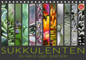 Sukkulenten in Haus und Garten (Tischkalender 2021 DIN A5 quer) von Cross,  Martina