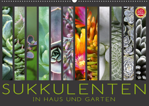 Sukkulenten in Haus und Garten (Wandkalender 2021 DIN A2 quer) von Cross,  Martina