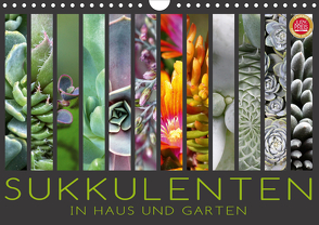 Sukkulenten in Haus und Garten (Wandkalender 2021 DIN A4 quer) von Cross,  Martina