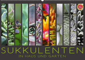 Sukkulenten in Haus und Garten (Wandkalender 2022 DIN A2 quer) von Cross,  Martina