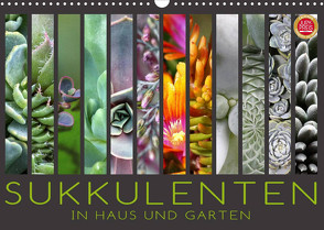 Sukkulenten in Haus und Garten (Wandkalender 2022 DIN A3 quer) von Cross,  Martina