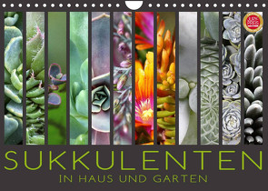 Sukkulenten in Haus und Garten (Wandkalender 2022 DIN A4 quer) von Cross,  Martina