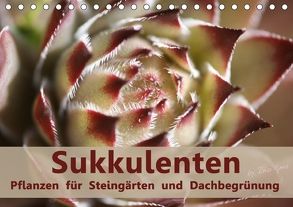 Sukkulenten – Pflanzen für Steingärten und Dachbegrünung (Tischkalender 2018 DIN A5 quer) von Lorz - LoRo-Artwork,  Rosi