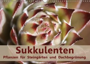 Sukkulenten – Pflanzen für Steingärten und Dachbegrünung (Wandkalender 2018 DIN A3 quer) von Lorz - LoRo-Artwork,  Rosi