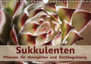 Sukkulenten – Pflanzen für Steingärten und Dachbegrünung (Wandkalender 2018 DIN A4 quer) von Lorz - LoRo-Artwork,  Rosi