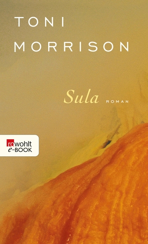 Sula von Morrison,  Toni, Polz,  Karin