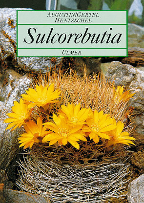 Sulcorebutia von Augustin,  Karl, Gertel,  Willi, Hentzschel,  Günter