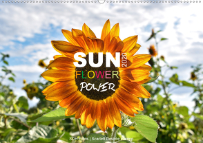 SUN Flower Power (Wandkalender 2020 DIN A2 quer) von Fotos,  SDH