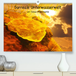 Surreale Unterwasserwelt (Premium, hochwertiger DIN A2 Wandkalender 2021, Kunstdruck in Hochglanz) von Indermuehle,  Tobias