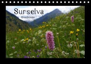 Surselva – Graubünden (Tischkalender immerwährend DIN A5 quer) von lajavi.com,  k.A.