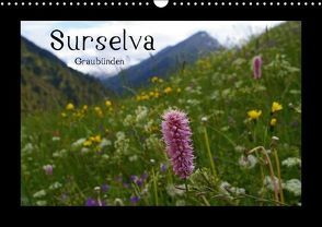 Surselva – Graubünden (Wandkalender immerwährend DIN A3 quer) von lajavi.com,  k.A.