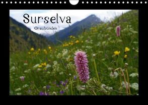 Surselva – Graubünden (Wandkalender immerwährend DIN A4 quer) von lajavi.com,  k.A.