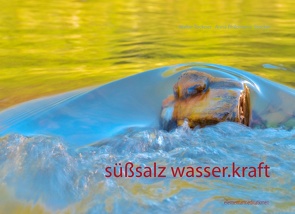 süßsalz wasser-kraft von Stocker,  Anna Philomena, Tockner,  Walter