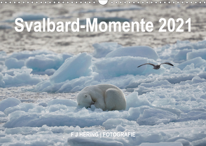 Svalbard-Momente (Wandkalender 2021 DIN A3 quer) von Franz Josef Hering,  Dr.