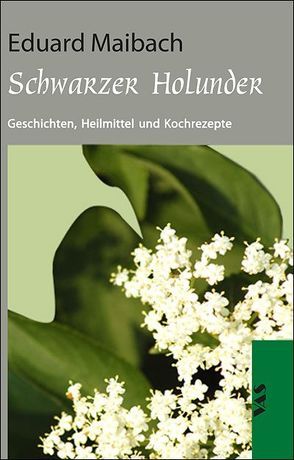 Schwarzer Holunder von Maibach,  Eduard