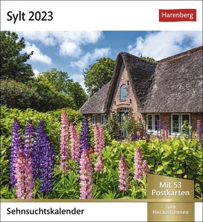 Sylt Sehnsuchtskalender 2023. Kleiner Kalender mit 53 Postkarten voll traumhafter Urlaubs-Fotos. Sylt für den Schreibtisch in einem Wochenkalender. von Layda,  Siegfried