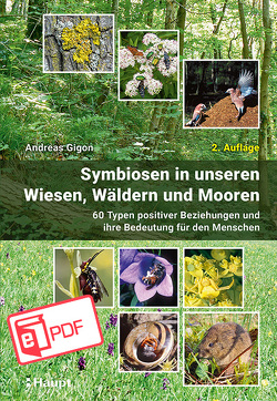 Symbiosen in unseren Wiesen, Wäldern und Mooren von Gigon,  Andreas